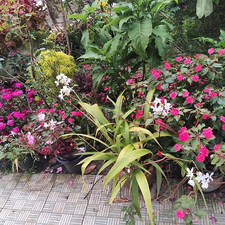 Soly'S Villa Homestay 무나르 외부 사진