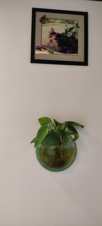 Soly'S Villa Homestay 무나르 외부 사진