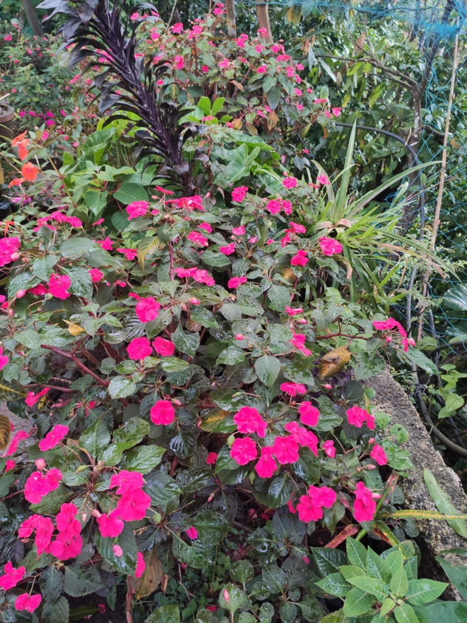Soly'S Villa Homestay 무나르 객실 사진