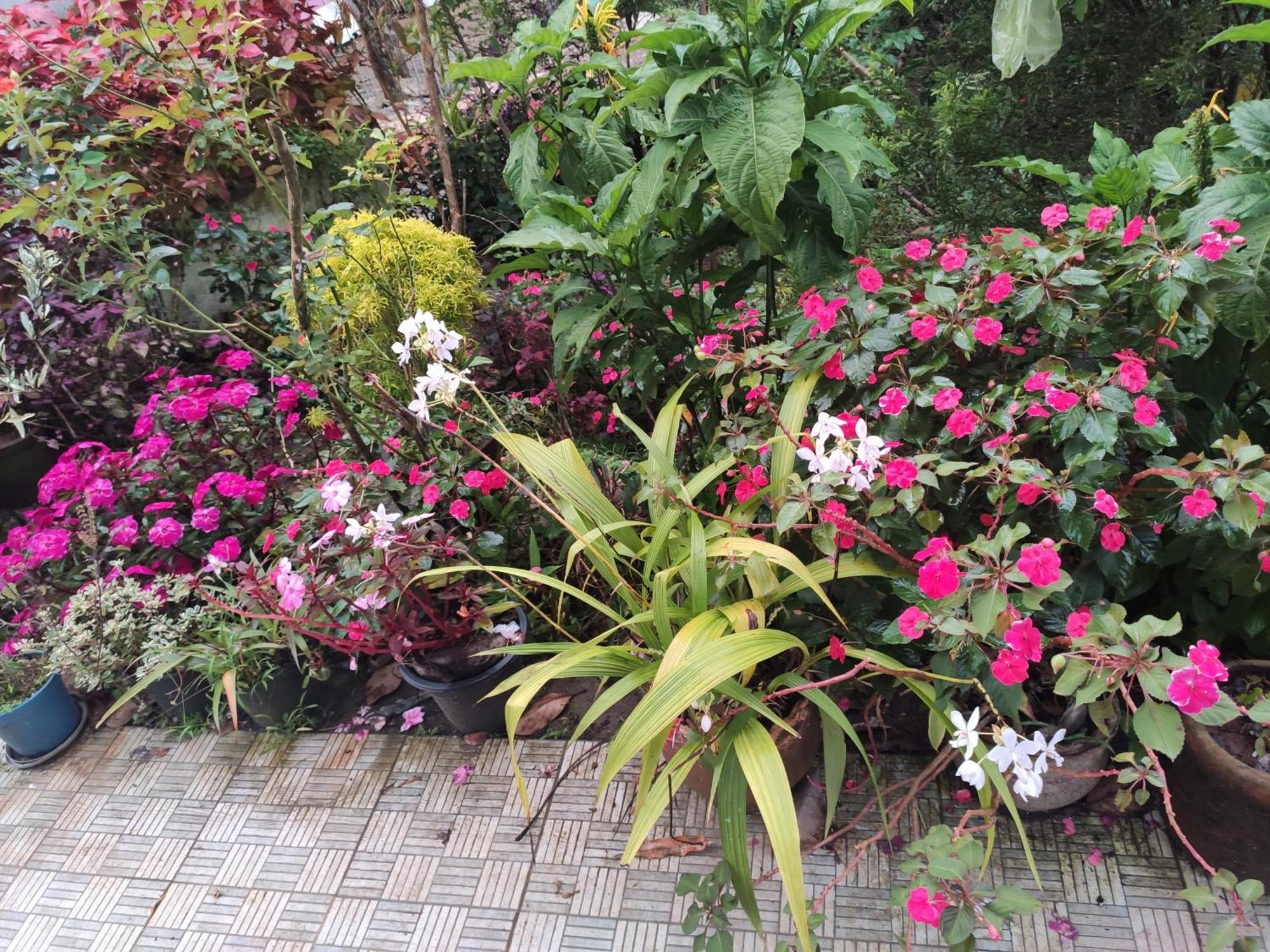 Soly'S Villa Homestay 무나르 외부 사진