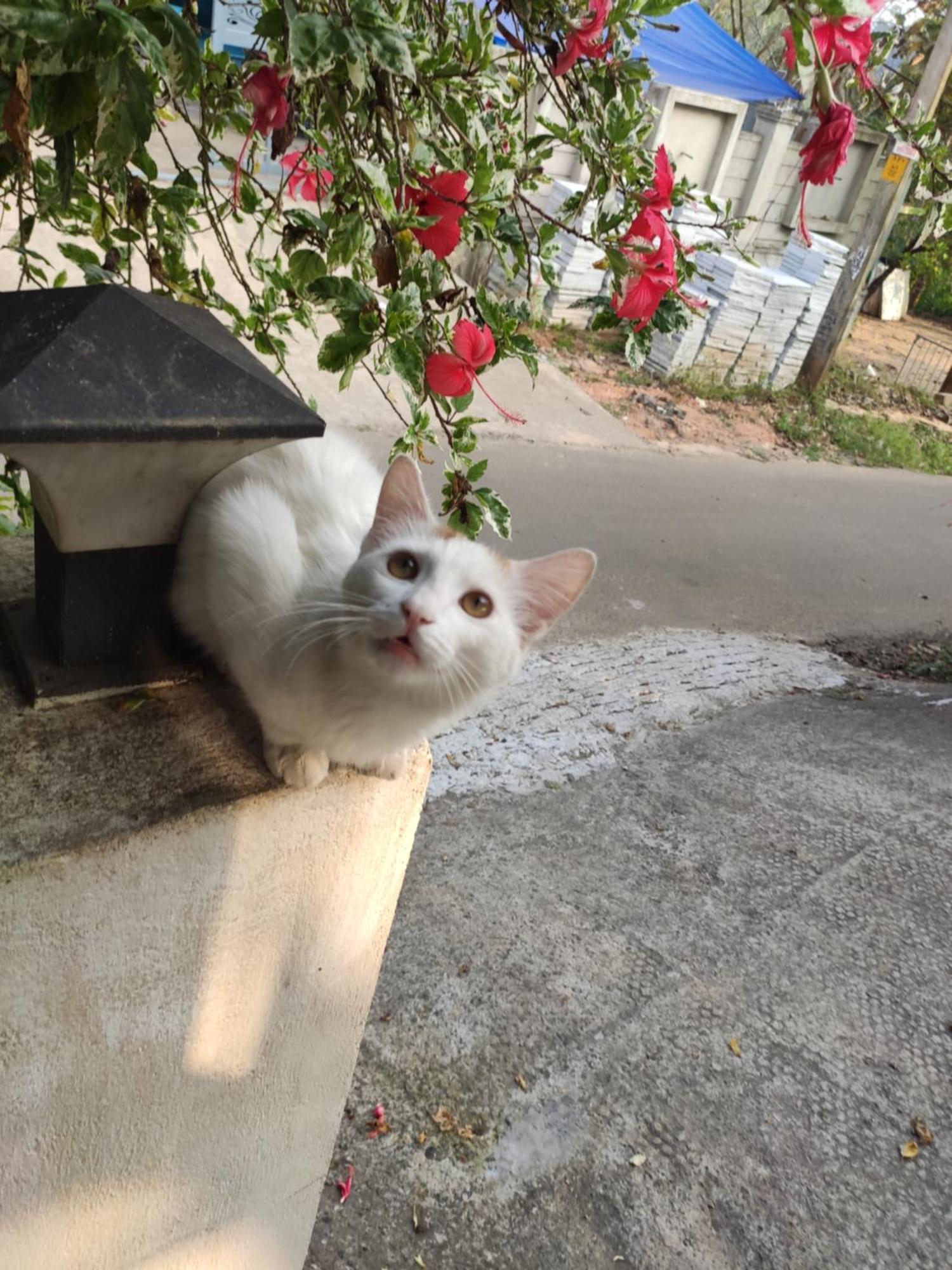 Soly'S Villa Homestay 무나르 외부 사진
