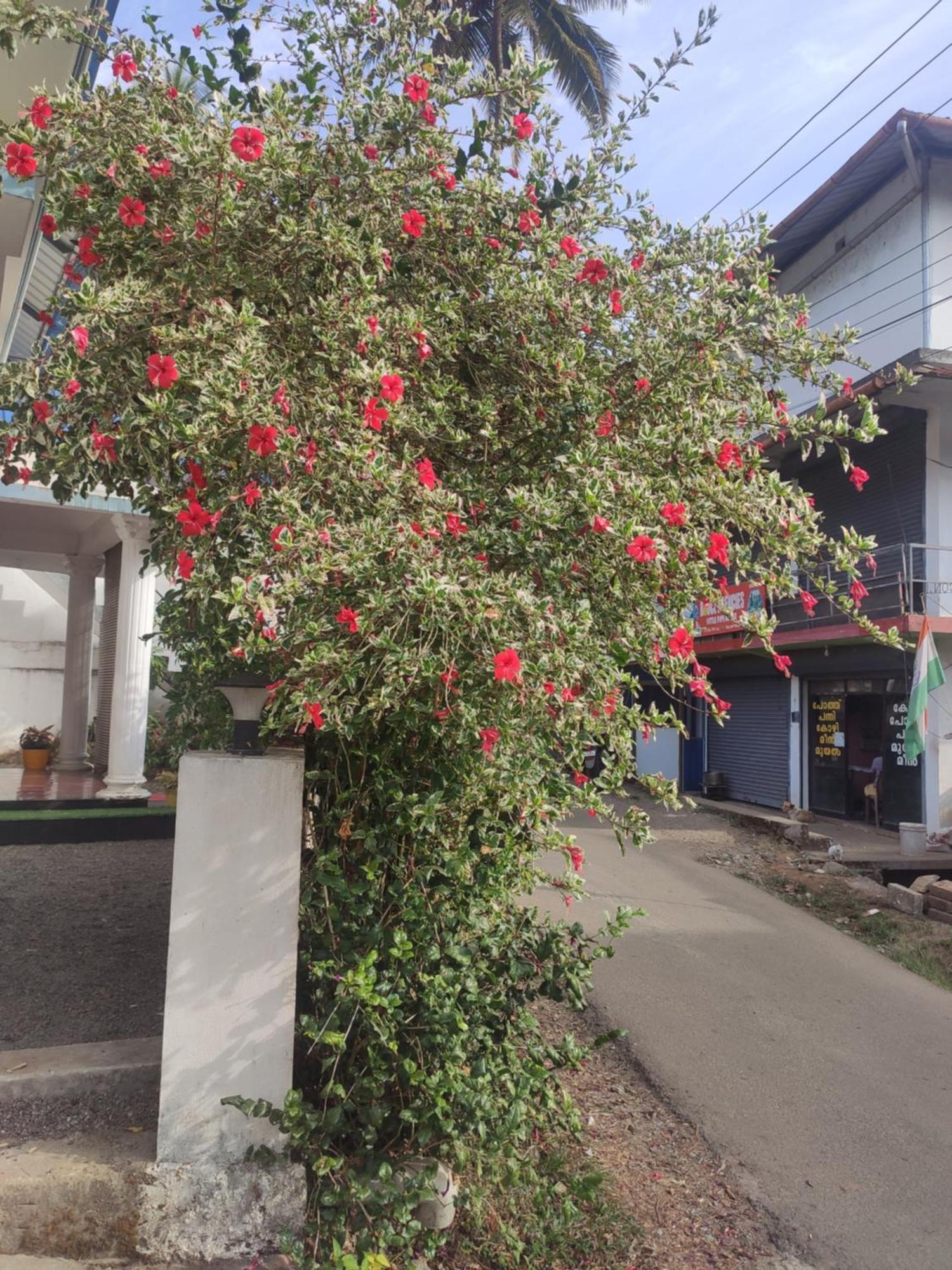 Soly'S Villa Homestay 무나르 외부 사진